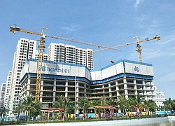 HBC sẽ trả cổ tức năm 2019 vào ngày 23/12