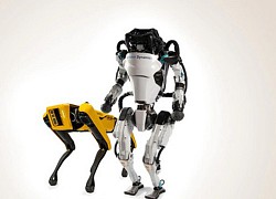 Hyundai thâu tóm phần lớn Boston Dynamics