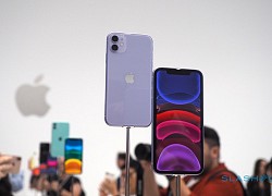 iPhone 11 Pro, 11 Pro Max sắp biến mất tại Việt Nam