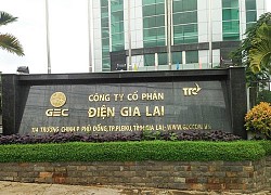 Kế toán trưởng Điện Gia Lai (GEG) bán xong 169.708 cổ phiếu