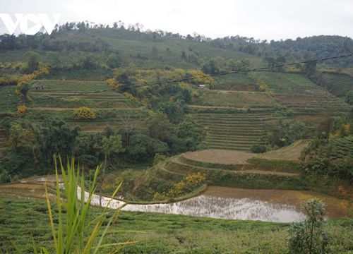 Lai Châu - điểm dừng chân thú vị của du khách