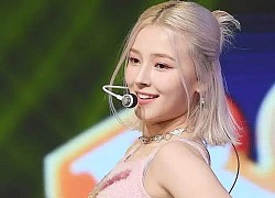 "Nữ idol xấu nhất Kpop" bị dìm hàng tan nát để lộ luôn cả quần trong bị rách, Nancy (MOMOLAND) cũng gặp tình huống tương tự