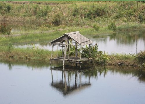 Sát hại người tình rồi tự vẫn