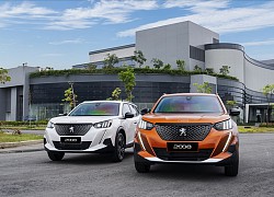 SUV Peugeot 2008 xuất hiện đối đầu Kia Seltos, Toyota Corolla Cross