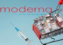 Moderna chuẩn bị phân phối 6 triệu vaccine COVID-19 khắp nước Mỹ