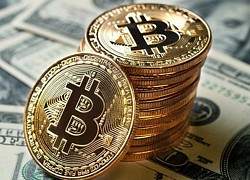 Bitcoin tăng gần 2.000 USD trong ngày