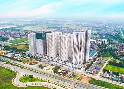 Cen Land (CRE) dự kiến phát hành thêm gần 16 triệu cổ phiếu cho cổ đông hiện hữu