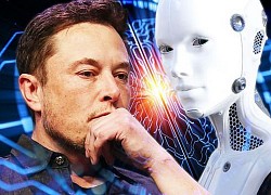 Elon Musk chỉ cách trở thành chuyên gia