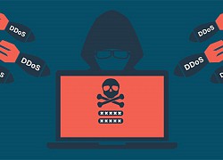 Hacker tuổi teen đứng sau vụ tấn công DDoS rúng động thế giới năm 2016 cúi đầu nhận tội