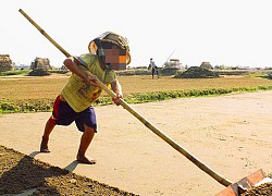 Hơn nửa triệu trẻ em Việt Nam làm công việc nguy hại đến sức khỏe, đạo đức