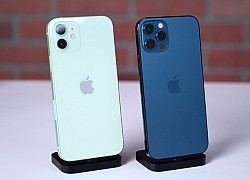 iPhone 12 Pro bất ngờ trở thành phiên bản phổ biến nhất