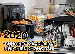 Năm 2020 đánh dấu việc các mẹ chuộng đồ dùng công nghệ giải phóng sức lao động: Nồi chiên không dầu, máy rửa bát luôn lọt "top trending" thứ đáng mua nhất