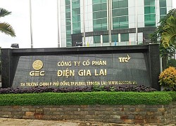 Ban lãnh đạo Điện Gia Lai ồ ạt đăng ký bán cổ phiếu