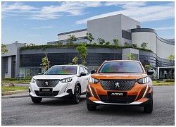 SUV đô thị 700 triệu đồng: Peugeot 2008 có đấu lại Kia Seltos?