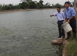 Thứ trưởng Bộ Lao động Thương binh và Xã hội Lê Tấn Dũng: Nâng cao trình độ lao động nông nghiệp