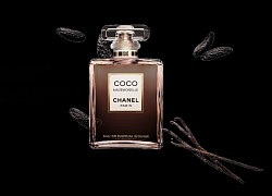 Tìm thấy lọ nước hoa Chanel bị mất của khách trong ba lô nhân viên hàng không ở Nội Bài