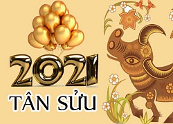 Tử vi cuối năm 2020: 3 con giáp tài vận cực tốt, tiền bạc cứ thế ùa về tha hồ tiêu tết