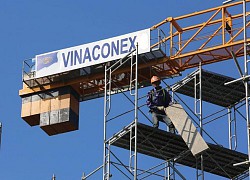 Vinaconex (VCG) sẽ huỷ niêm yết trên HNX ngày 22/12