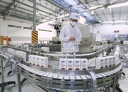 Vinamilk dẫn đầu Top 100 doanh nghiệp bền vững Việt Nam năm 2020