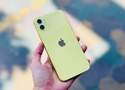 5 mẫu iPhone đáng mua tại Di Động Việt dịp cuối năm