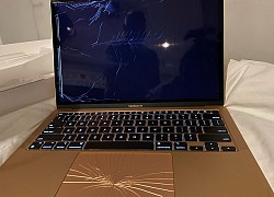 Chàng trai tá hỏa vì nhận chiếc MacBook mới mua nhưng bị "nát bét" cả màn hình, Apple lại có một pha xử lý "đi vào lòng người"