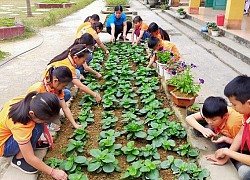 Cô giáo Tày tìm tòi, sáng tạo trong giảng dạy