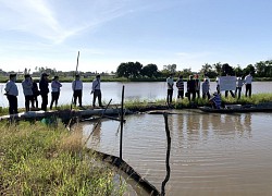 Đồng Tháp: Cho cá heo kêu éc éc ở chung ao với cá chạch lấu, bắt cả tấn, nông dân bất ngờ thu lời lớn