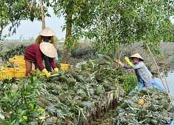 Du lịch cộng đồng theo tiêu chí OCOP, khách đến một lần rồi lại muốn đến lần thứ 2