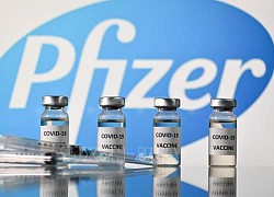 Giá vaccine COVID-19 của Pfizer/BioNTech bán cho EU