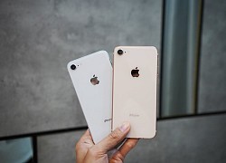 iPhone đời cũ giảm giá tiền triệu dịp cuối năm