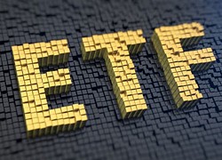 Năm 2020, quỹ ETF nội 'trỗi dậy' và 'lên ngôi'