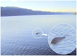 Quái vật hồ Lochness thật sự tồn tại?