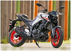 Top 10 naked bike tốt nhất năm 2020: Yamaha MT-03 đầu bảng, Honda vắng bóng