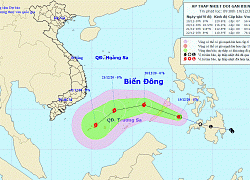 Yêu cầu các tỉnh từ Đà Nẵng đến Cà Mau và Kiên Giang chuẩn bị ứng phó áp thấp nhiệt đới mạnh lên thành bão