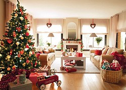 [ẢNH] Trang trí cây thông Noel lộng lẫy trong đêm Giáng sinh