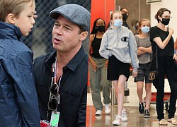 Brad Pitt đón Giáng sinh với ba trong số sáu người con