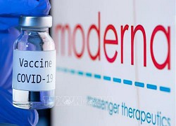 Canada cấp phép sử dụng vaccine ngừa COVID-19 của Moderna