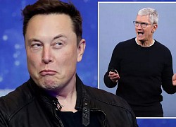 Elon Musk "ngạc nhiên" về pin xe điện đột phá của Apple - toàn những điều Tesla đã làm từ lâu