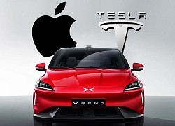 Elon Musk từng đề nghị bán Tesla cho Apple nhưng bị từ chối