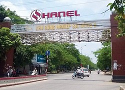 Hanel, Giầy Thượng Đình khóc trên "đất vàng"