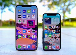 iFan yên tâm, iPhone 12 và iPhone 12 Pro thừa sức cung cấp dịp lễ cuối năm