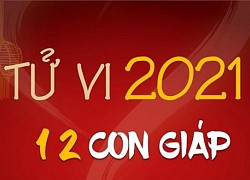 Tử vi tháng 1/2021 của 12 con giáp