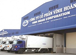 VHC: Doanh thu xuất khẩu tháng 11 sụt giảm mạnh, cổ phiếu 'đổ đèo' nhiều phiên