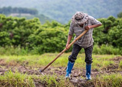 Vợ tính toán với bà con nhà chồng