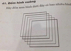 Bài toán tiểu học có bao nhiêu hình vuông, trông thì &#8220;dễ như ăn kẹo&#8221; nhưng thách thức cả hội phụ huynh