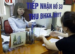 BHXH TP Hồ Chí Minh nỗ lực hoàn thành các chỉ tiêu năm 2020