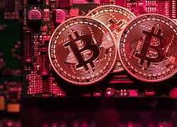 Năm 2020 ngạo nghễ của Bitcoin: Tăng giá 224%, đánh bại mọi hoài nghi