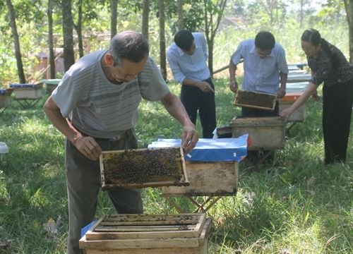 Đảng bộ huyện Cẩm Thủy tăng cường kiểm tra, giám sát, ngăn ngừa sai phạm