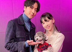 Kai (EXO) bị nghi là người kết nối Taeyeon (SNSD) cho Ravi (VIXX), tất cả là tại chiếc story đáng ngờ này!