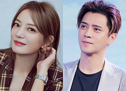 Năm 2020 phủ đen showbiz Hoa ngữ: Anh trai Minh Đạo giết vợ, Triệu Vy - Huỳnh Hiểu Minh ngoại tình và 1001 drama không hồi kết